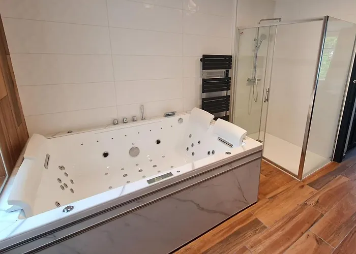 2 Pieces, Et Terrasse, Thermal 公寓 南锡